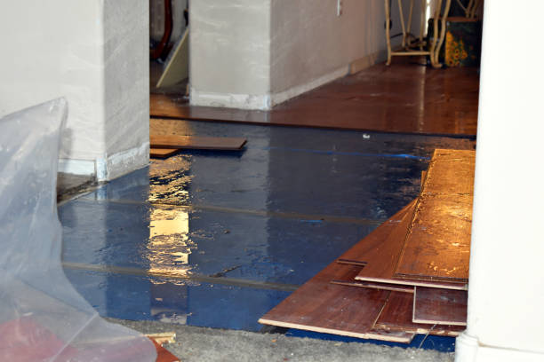 Professional Burst Pipe Cleanup technician working in Athens, WV